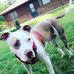 Bubba Jo Price - Facebook