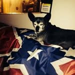 Bubba Stanley - @stanleybubba - Instagram