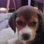 Stanley Bubba Baker - @stanleybubbabaker - Instagram