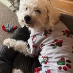 Tom Bubba Stanley - @bubbastanley79 - Instagram