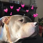 Bubba Thomas - @da_bubbas_ - Instagram