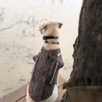 Bubba Vance - @vance.bubba - Instagram