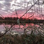 Bubba Vance - @hunterfishinrebelfan - Instagram