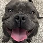 Bubbles Smith - @bubblesnewlife - Instagram