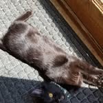 Bubbles Smith - @wickedkitty_00 - Instagram