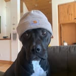 Clyde “Bubbles” Smith - @clydeponyboycurtis - Instagram