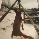 Bob Stevens  Bolton vt - @buckhunter1958 - Instagram