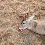 buck_hunter_2002 - @buck_hunter_2002 - Instagram