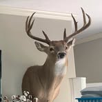 Buck Hunter - Facebook