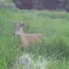 BuckHunter - @buckhunter758 - TikTok
