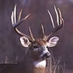 Hunter B - @__buck_hunter - Instagram