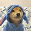 Kaiser - @bucky.kaiser - TikTok