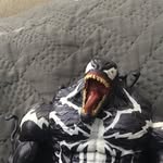 Bucklamb - @bucklambx - Instagram