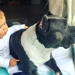 Buck - @buck_et_laya - Instagram
