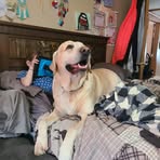 Buck Lee - Facebook