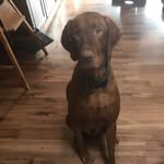 Buck Lee Master Gambol - @buckyboo13 - Instagram