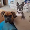 Buck Lloyd Hevlin - @buck.lloyd.hevlin - TikTok