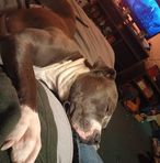 Buck Martinez - Facebook