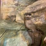 Adam Blumstein - @buck_mayfield72 - Instagram