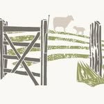 Buckmoorend Farm - @buckmoorendfarm - Instagram