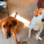 Buck Chester Murray - @buckleyandchester - Instagram