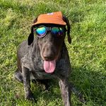 Buck Murray - @buck.thebirddog - Instagram