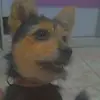 Buck._.Nelson - @buck._.nelson - TikTok