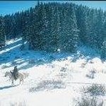 Buck Nelson - @buck_nelson_ - Instagram