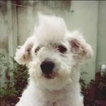 Buck Nelson Ramos - @bucknelsonn - Instagram