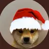 Bucko_Dominic - @im_gay_lolll - TikTok