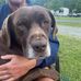 Buck Page - Facebook