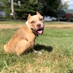 Phelps - @phelps_bucketlist - Instagram