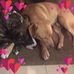 Buck Ray - Facebook