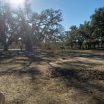 buck reed - @bluemeadow4545 - Instagram