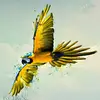 Buckreedun Hossen Ally - @buckreedun.hossen - TikTok