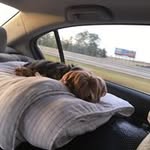 buckroberts77 - @buckroberts77 - Instagram