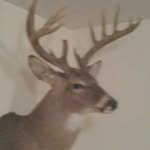 Buck Robinson - @buck.robinson - Instagram