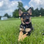 Buck Robinson - @bigbuckrobbie - Instagram