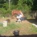 Buck Ross - Facebook