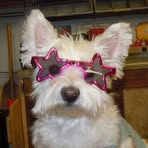 Bucky Schroeder - Facebook