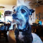 Buck Short - @buckshort - Instagram