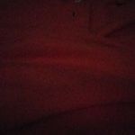 Buck Sims - @bucky45611 - Instagram