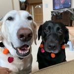 Buck and Daisy Wallace - @daleandbryant - Instagram