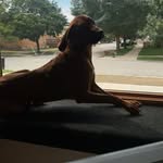 Buck Wallace - @buckwallace6 - Instagram