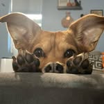 Bucky Jones - @buckyjones2023 - Instagram