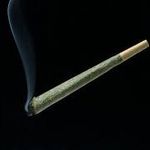 bud buddy - @budbuddy5050 - Instagram