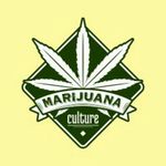Bud Buddy - @budbudies - Instagram