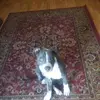 budburton - @budburton - TikTok