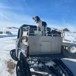 Bud Carpenter - @badlandsbc - Instagram
