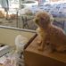 Buddy Carpenter - Facebook